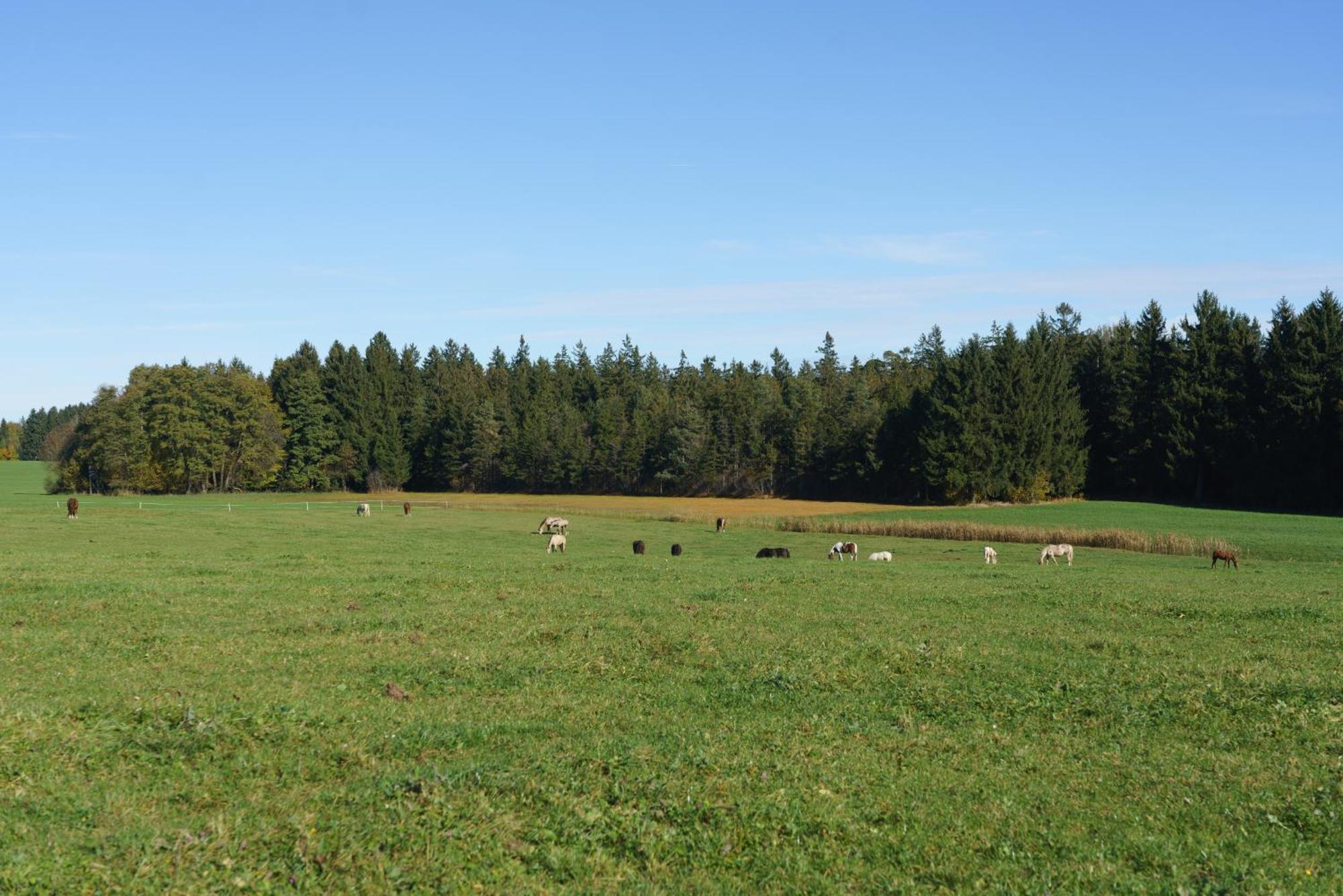 Private Farmhouse Escape - Ideal For Up To 8 Guests Seeham Exterior foto